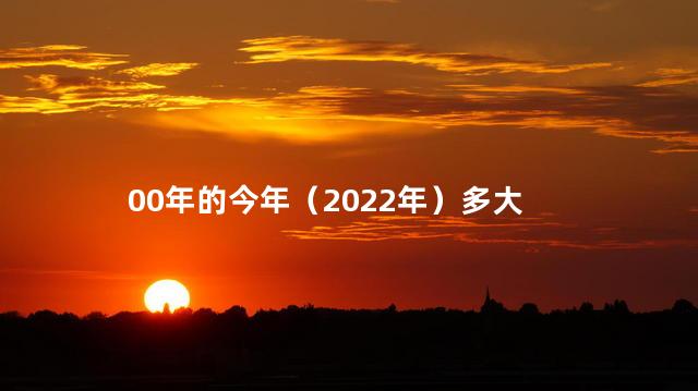 00年的今年（2022年）多大