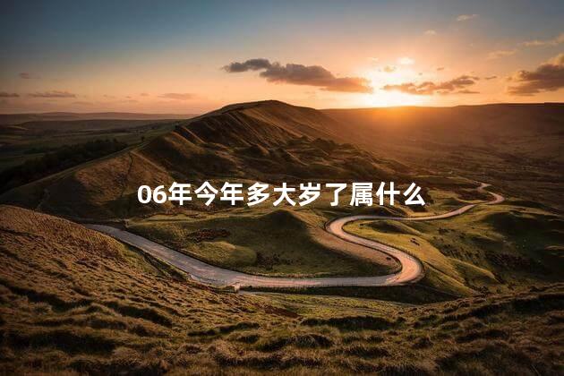 06年今年多大岁了 06年满16周岁了吗