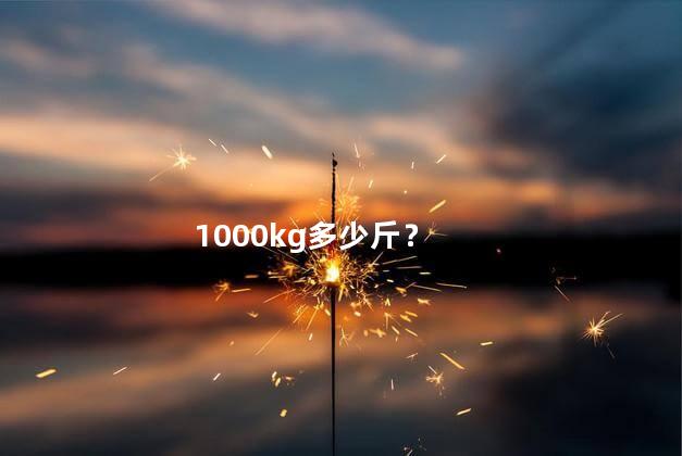 1000kg多少斤 1000kg是几吨