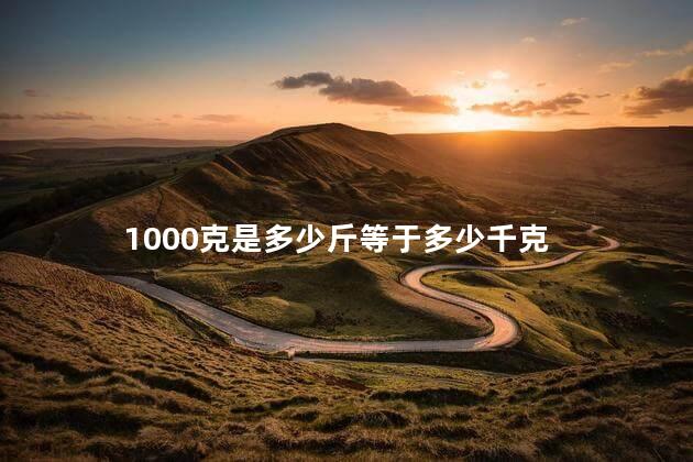 1000克是多少斤 1千克是一斤吗