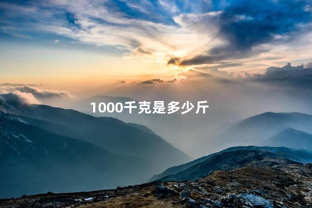 10000千克是多少斤 500g是1斤吗