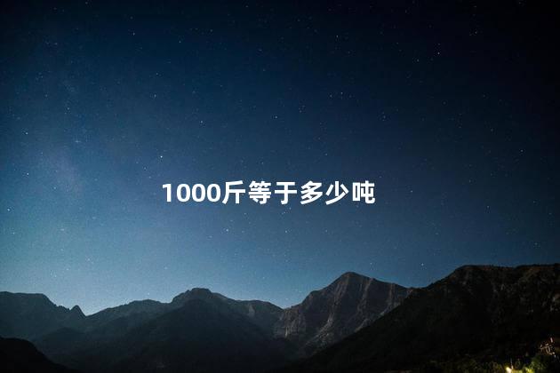 1000斤等于多少吨