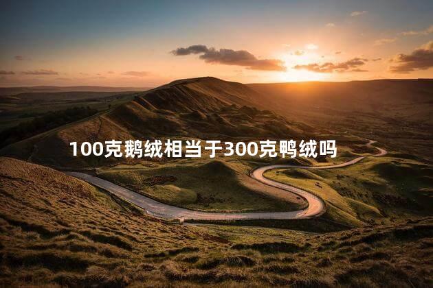 100克鹅绒相当于300克鸭绒吗 100克鹅绒相当于300克羽绒吗