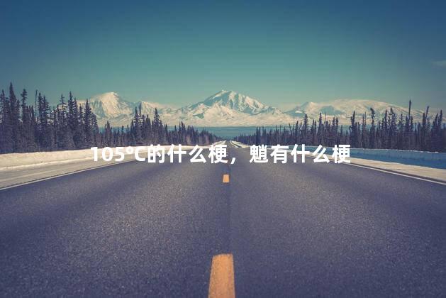 105℃的什么梗，魈有什么梗