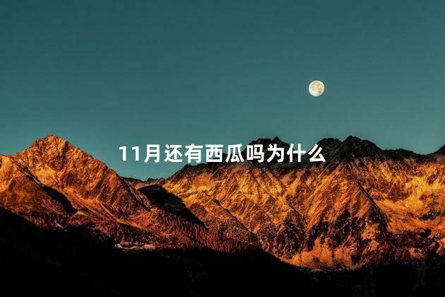 11月还有西瓜吗为什么