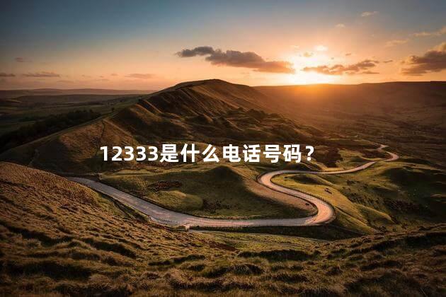 12333是什么电话 12333劳动仲裁管用吗