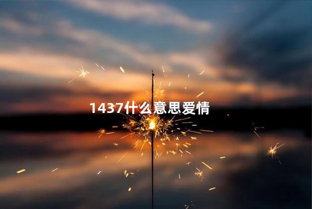 1437什么意思 1437的爱情暗示语