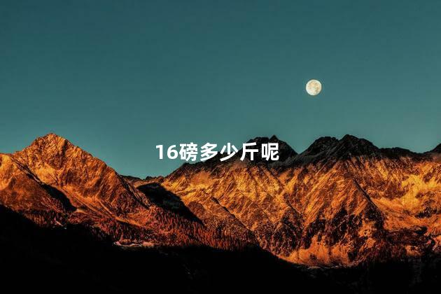 16磅多少斤 16磅等于几公斤