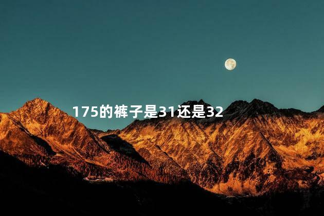 175的裤子是31还是32