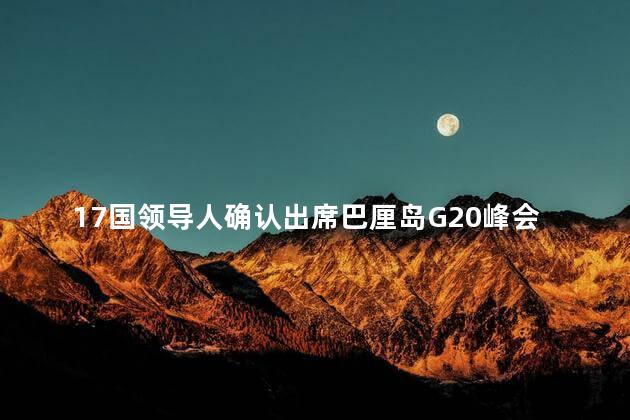 17国领导人确认出席巴厘岛G20峰会