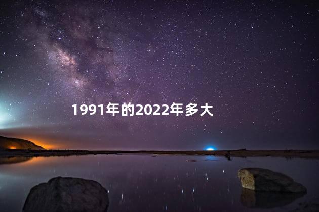 91年的2022年多大 91年是闰年吗