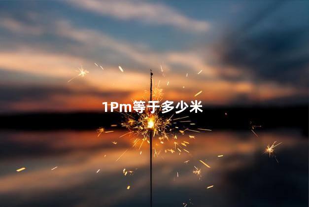 1pm等于多少cm 1Pm是几点