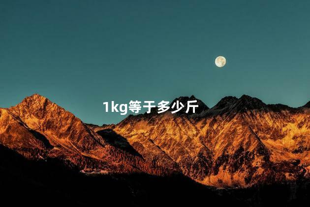 1kg等于多少斤