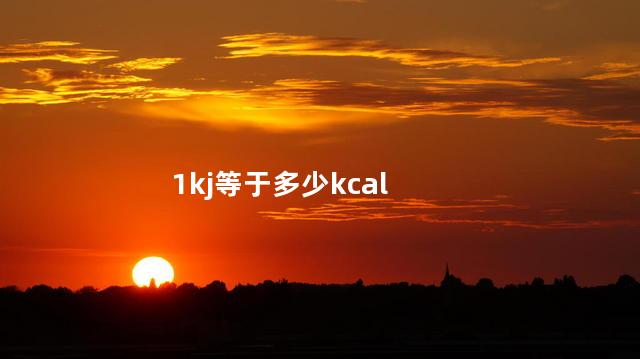 1kj等于多少kcal