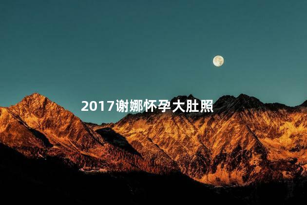 2017谢娜怀孕大肚照 谢娜生了几个宝宝