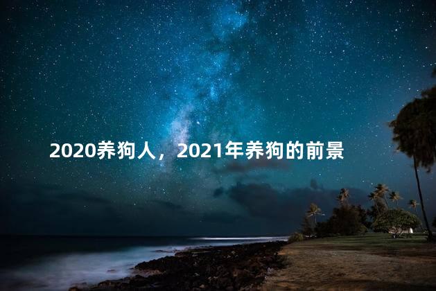 2020养狗人，2021年养狗的前景