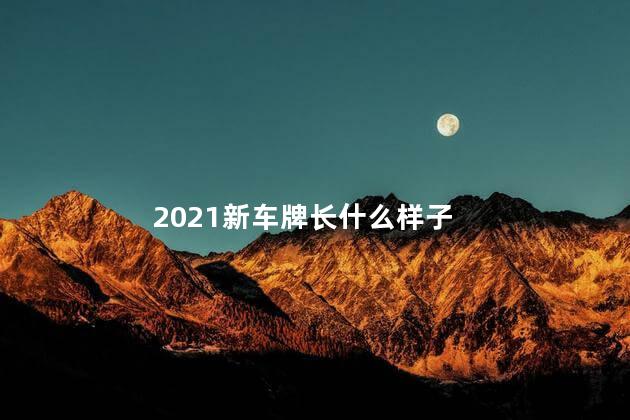 2021新车牌长什么样子 车牌前面是新的是哪里的车