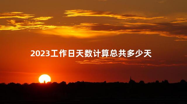 2023工作日天数计算总共多少天