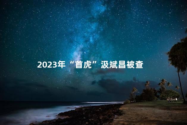 2023年“首虎”汲斌昌被查