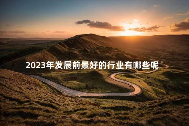 2023年发展前景好的行业有哪些 2023年是癸卯年吗