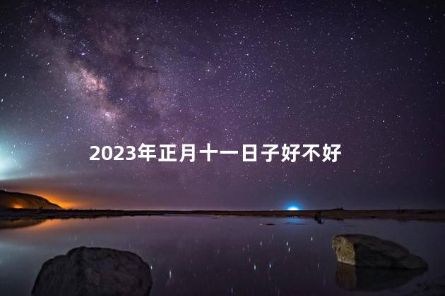 2023年正月十一日子好不好