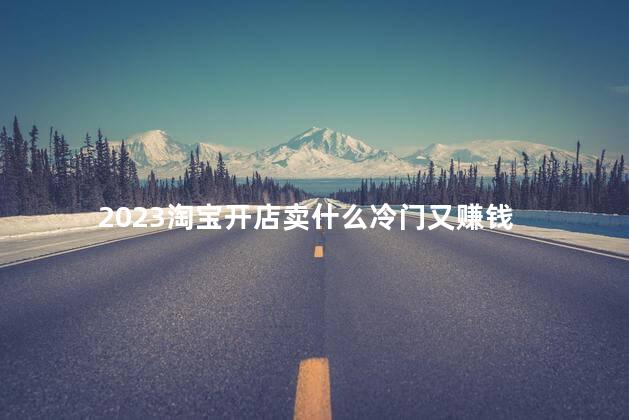 2023淘宝开店卖什么冷门又赚钱