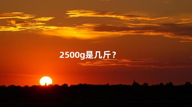 2500g是几斤 2500g是多少kg