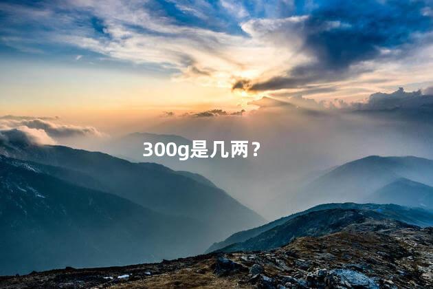 300g是几两 300g够几个人吃