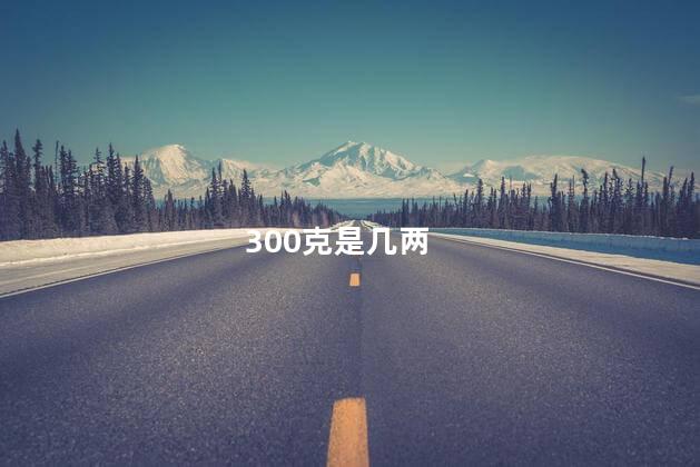 300克是几两