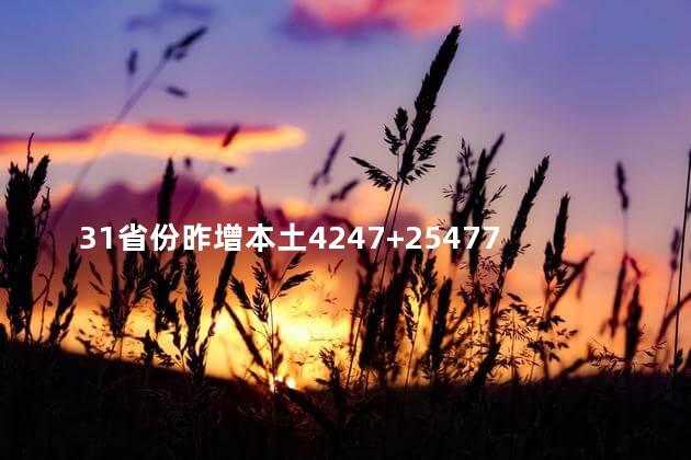 31省份昨增本土4247+25477例