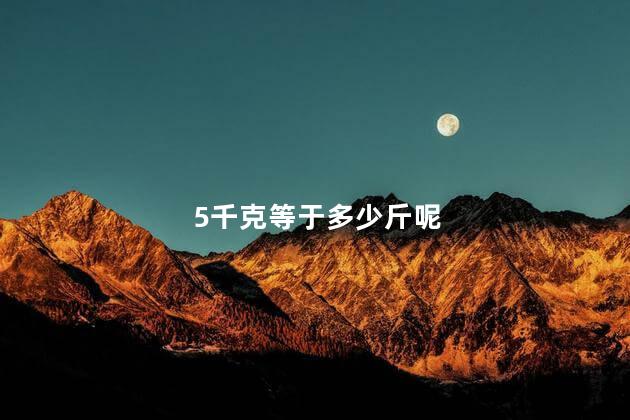 5千克等于多少斤呢 5千克等于10斤吗