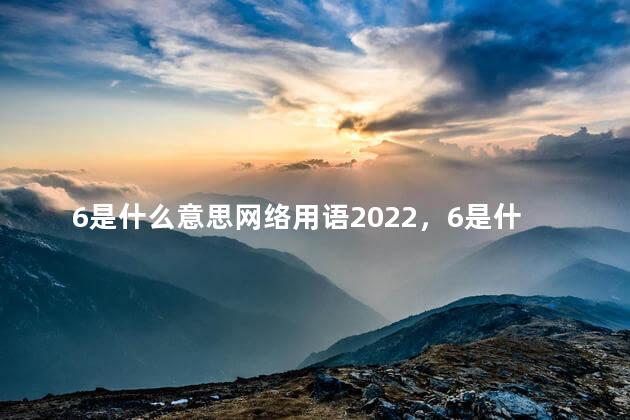 6是什么意思网络用语2022，6是什么意思网络用语讽刺