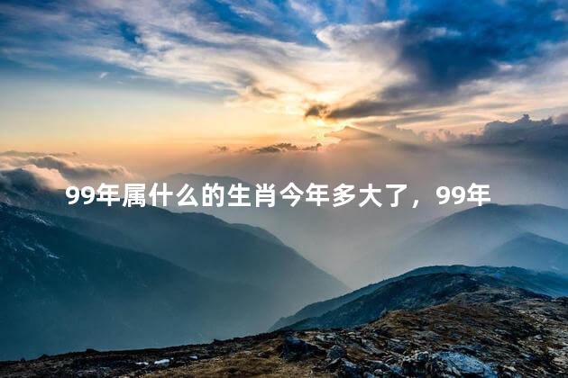 99年属什么的生肖今年多大了，99年属啥的今年多大