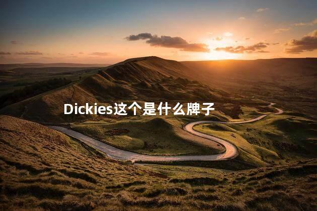 dickies是什么牌子中国名字 Dickies是潮牌吗