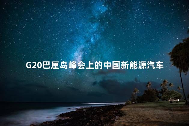 G20巴厘岛峰会上的中国新能源汽车