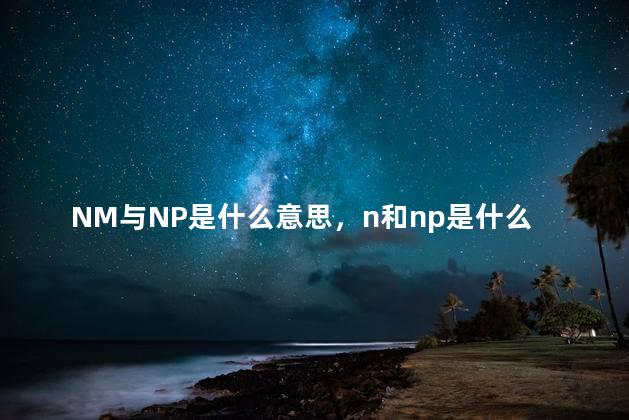 NM与NP是什么意思，n和np是什么意思啊