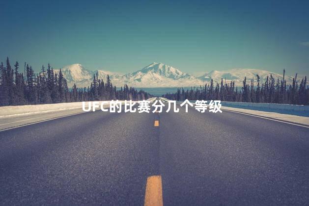 UFC的比赛分几个等级