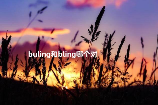 buling和bling哪个对