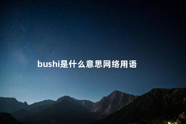 bushi是什么意思 bushi是不是的意思吗