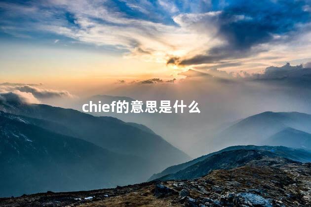 chief的含义是什么？ chief有小偷的意思吗