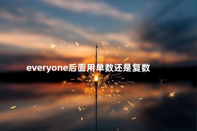 everyone后面用is还是are everyone后面跟三单吗