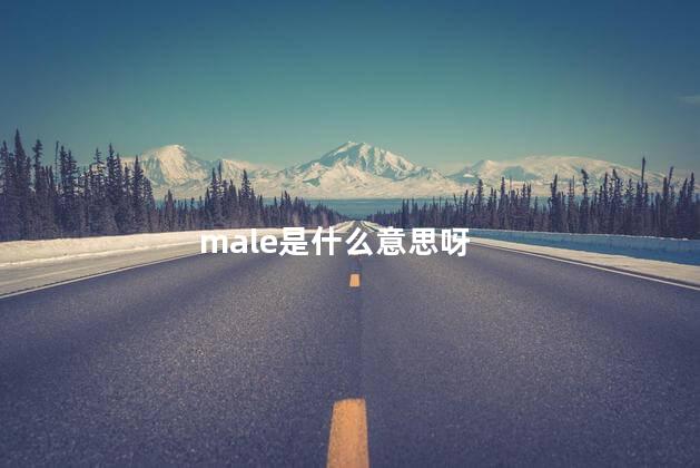 male是什么意思？ male是可数名词吗