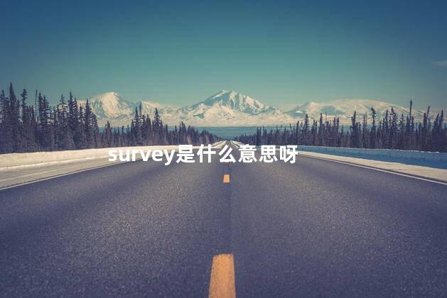 survey是什么意思 survey可以做动词吗