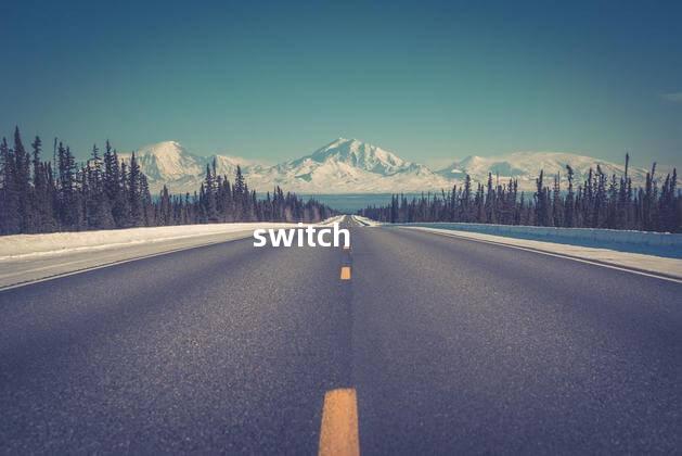 switch switch充电没反应