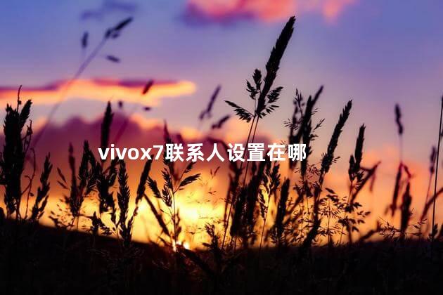 vivox7联系人设置在哪