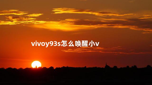 vivoy93小v怎么唤醒 vivoy93是哪一年上市的