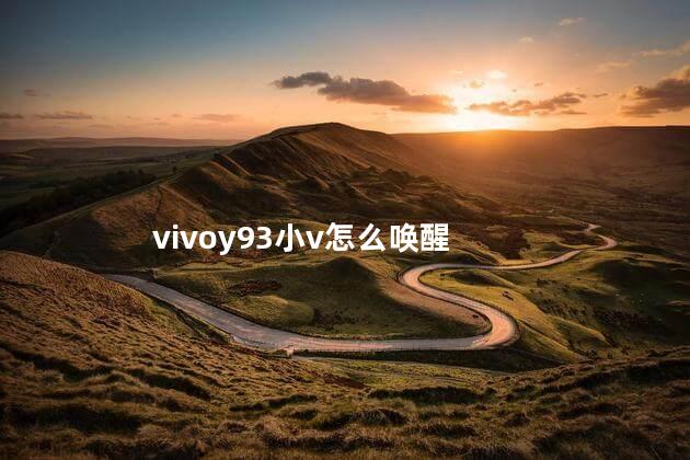 vivoy93小v怎么唤醒