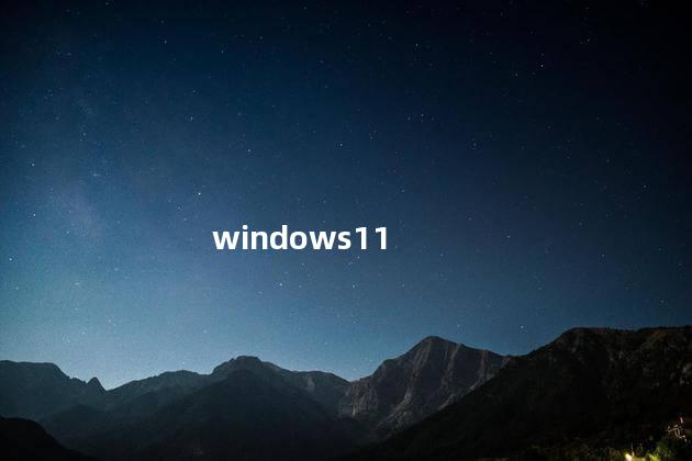 windows windows是哪个公司开发的