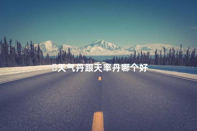 ​天气丹跟天率丹哪个好