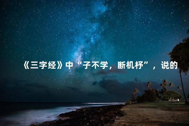 《三字经》中“子不学，断机杼”，说的是哪些母亲教子的故事